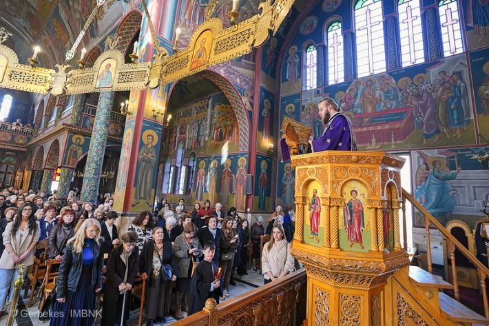 55198350613_5f4b8d4b18_c