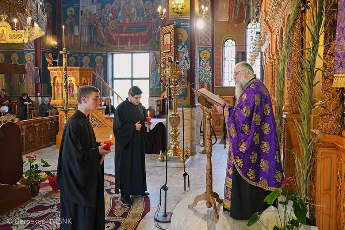 55198528410_2a4f9b46ef_c