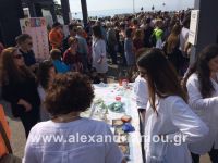 alexandriamou_apth20160023