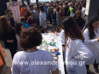 alexandriamou_apth20160024