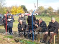 alexandriamou_araxos_naousa42