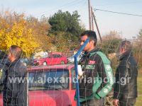 alexandriamou_araxos_naousa67