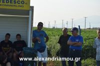 alexandriamou_araxos_palaioxori100009