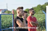 alexandriamou_araxos_palaioxori100013