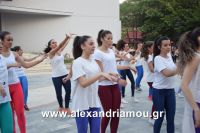 alexandriamou_armonia20160005