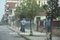 alexandriamou_betsopoulou0024