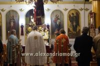 alexandriamou_brysaki_xrisostomos_DSC0030-20161112-204753