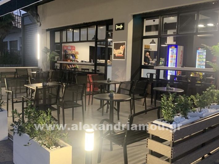 www.alexandriamou.gr_agiasmos_bunny_coffee_neesIMG_5133