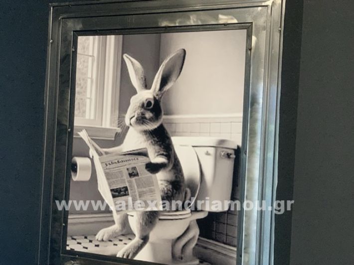 www.alexandriamou.gr_agiasmos_bunny_coffee_neesIMG_5136