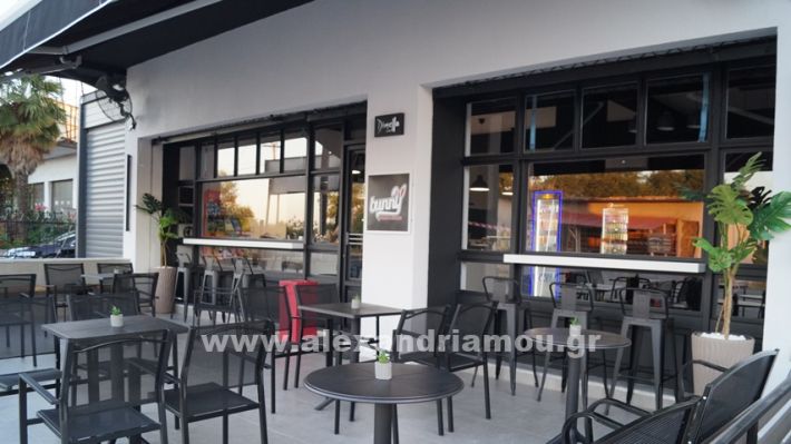 www.alexandriamou.gr_agiasmos_bunny_coffee_nees24532432354