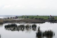 alexandriamou_delta_axiou01