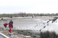 alexandriamou_delta_axiou04