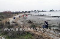 alexandriamou_delta_axiou45