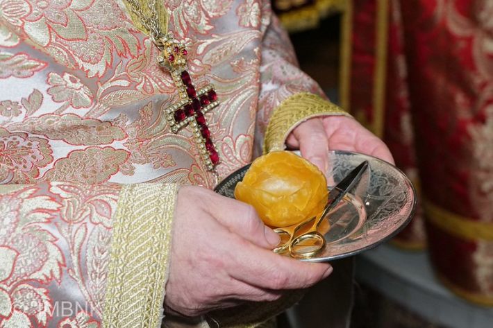 54922092146_37d7602e11_c