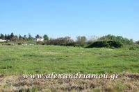 alexandriamou_dhmos_ergasies0002