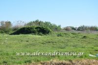 alexandriamou_dhmos_ergasies0003