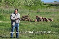 alexandriamou_dhmos_ergasies0009