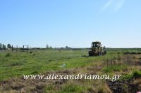alexandriamou_dhmos_ergasies0010