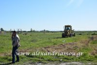 alexandriamou_dhmos_ergasies0012