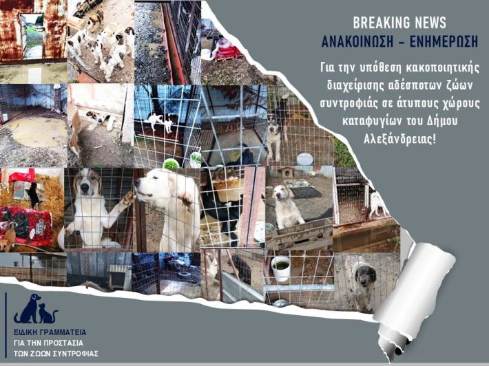 623365909_877935251662199_3547669538648069703_n