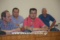 alexandriamou_dim_sumboulio0016