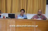 alexandriamou_dim_sumboulio0029