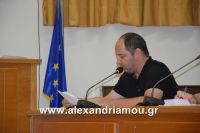 alexandriamou_dim_sumboulio0034