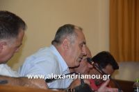 alexandriamou_dim_sumboulio0038