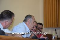 alexandriamou_dim_sumboulio0039