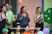 alexandriamou_eidiko_sxoleio0021