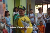 alexandriamou_eidiko_sxoleio0050