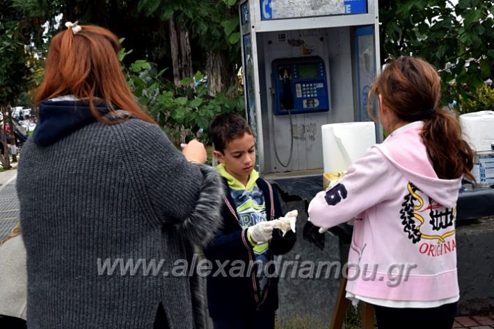 alexandriamou.gr_eikastika211DSC_0883