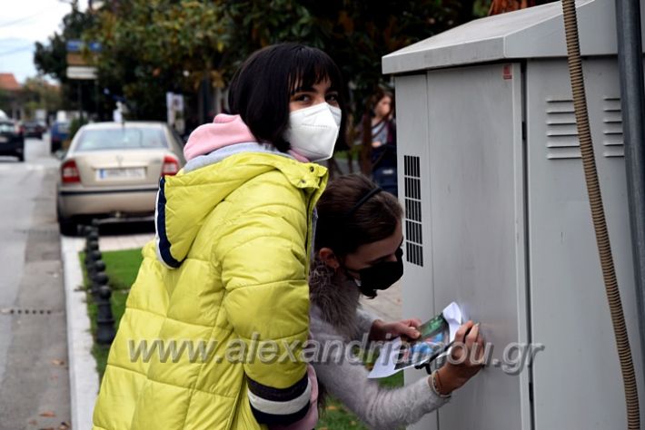 alexandriamou.gr_eikastika211DSC_0887