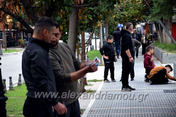 alexandriamou.gr_eikastika211DSC_0892