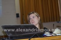 alexandriamou_emporikos_imerida06