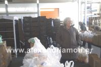 alexandriamou_episitistiki30