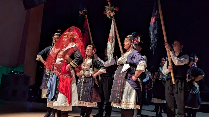 PXL_20260110_175558479.MP