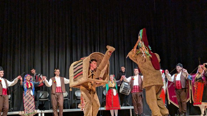 PXL_20260110_190138641.MP