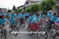 alexandriamou_estia_stavros20160032