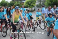 alexandriamou_estia_stavros20160050