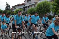 alexandriamou_estia_stavros20160060