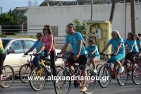 alexandriamou_estia_stavros20160078