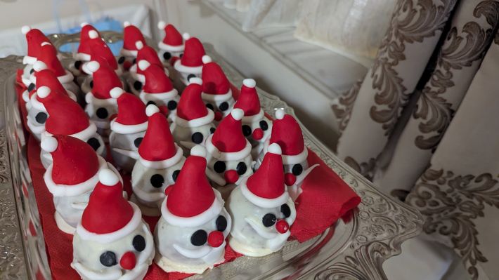 PXL_20260125_171451568.MP