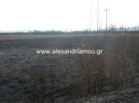 alexandriamou_fotia_kavasila23