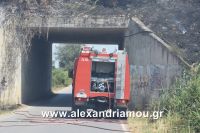alexandriamou_fotia113.07.160001