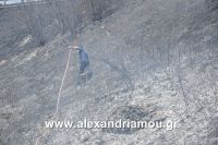 alexandriamou_fotia113.07.160015