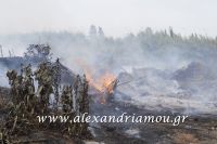 alexandriamou_fotia19.04.160019