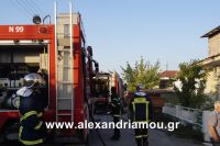 alexandriamou_fotia110005