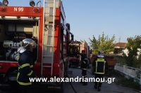 alexandriamou_fotia110006