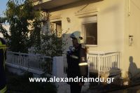 alexandriamou_fotia110009